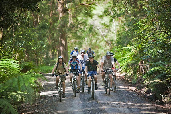 Mountain Biking Norther Rivers Australia